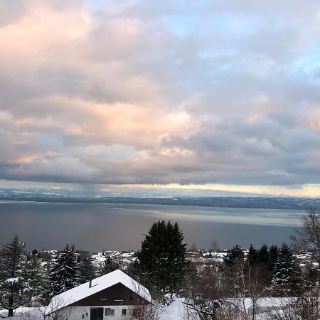 Les Vies En Rose Lejlighed Évian-les-Bains Eksteriør billede