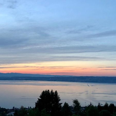 Les Vies En Rose Lejlighed Évian-les-Bains Eksteriør billede