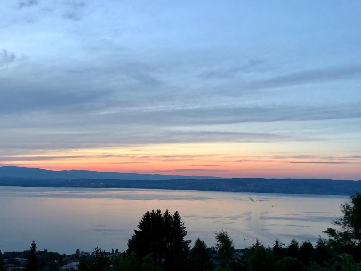 Les Vies En Rose Lejlighed Évian-les-Bains Eksteriør billede